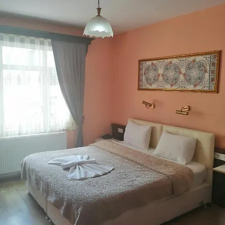 Ephesus Centrum 酒店 塞尔丘克