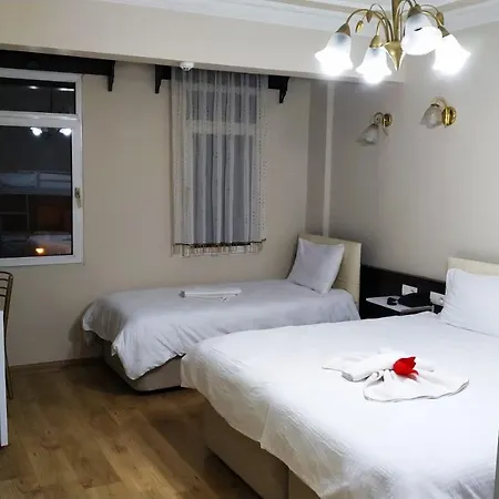 Ξενοδοχείο Ephesus Centrum 3*