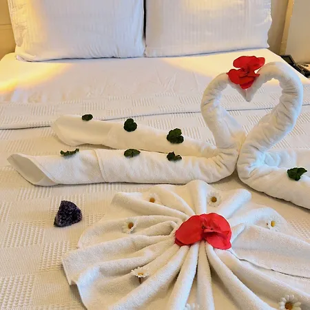 Ξενοδοχείο Ephesus Centrum 3*