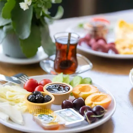 Otel Ephesus Centrum