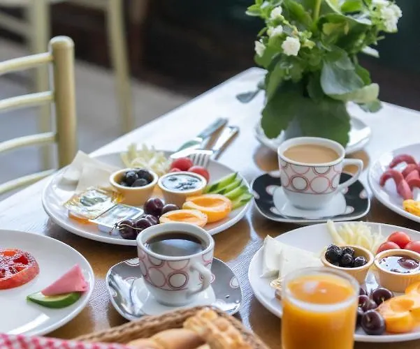 Ephesus Centrum ホテル セルチュク