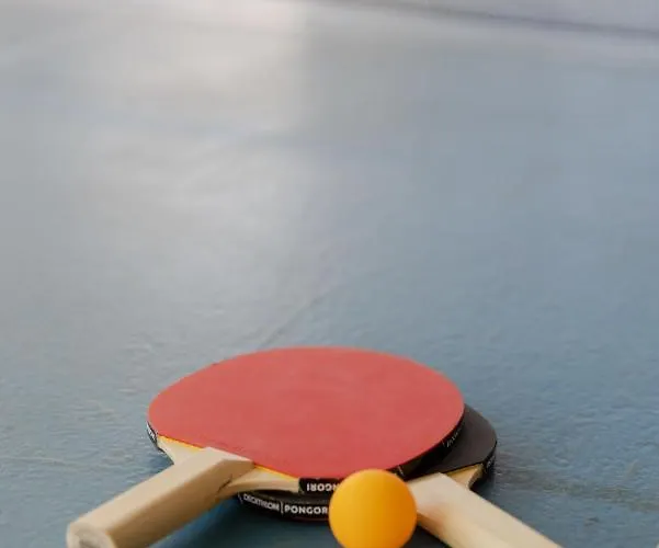 ホテル Ephesus Centrum