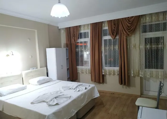 ホテル Ephesus Centrum 3*